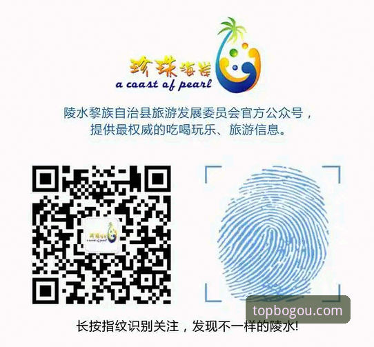 博狗官网平台完整使用指南：下载、登录与安全性深度评测