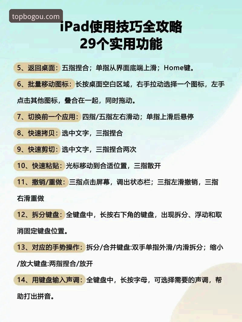 博狗官网平台最新版使用教程：从下载到高效操作的完整指南